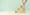 gdor email marketing 